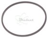 COURROIE CARREE Diam 31.5 X 1.8MM