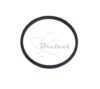 COURROIE CARREE Diam: 21.5MM x 1.0MM