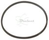 COURROIE CARREE Diam: 30.5 mm x 1 mm