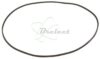 COURROIE CARREE Diam: 75MM x 1MM