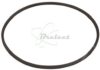 COURROIE CARREE Diam: 81 X 2MM