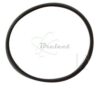 COURROIE CARREE Diam: 23.5 X 0.7 MM