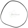 COURROIE PLATE Diam 79 x 6 x 0.53MM