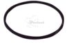 COURROIE CARREE Diam: 59 x 1.6 MM