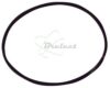 COURROIE CARREE Diam: 37.5MM x 1MM
