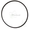 COURROIE CARREE Diam: 60.5MM x 1.0MM