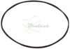 COURROIE CARREE Diam: 61.5 x 1 x 1 MM