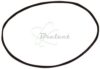COURROIE CARREE Diam: 63 x 1MM