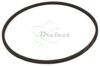 COURROIE CARREE Diam: 71 x 2MM