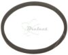 COURROIE CARREE Diam 21 x 1.1MM