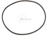 COURROIE CARREE Diam: 54 x 1MM