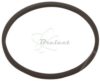 COURROIE CARREE Diam: 25 x 1.2MM