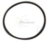 COURROIE CARREE Diam: 29MM x 1.2MM