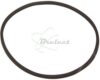 COURROIE CARREE Diam: 41MM x 1.2MM