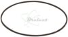 COURROIE CARREE Diam: 71MM x 1.2MM