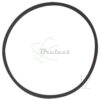 COURROIE CARREE Diam: 40MM x 1MM