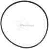 COURROIE CARREE Diam 64 x 1.6 x 1.6 MM