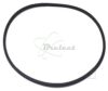 COURROIE CARREE Diam 75.5 x 1.9 MM