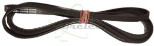 COURROIE 1884H5 EXTENSIBLE