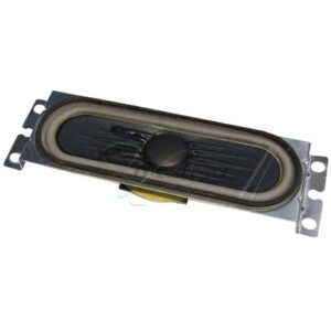 HAUT PARLEUR DE TV LCD