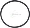 COURROIE CARREE Diam: 26mm x 1.2mm