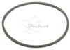 COURROIE CARREE Diam: 36MM x 1.1MM