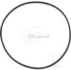 COURROIE CARREE Diam: 67 X 1.2MM