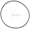 COURROIE CARREE Diam: 77 x 1.2 mm