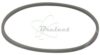 COURROIE CARREE Diam 32 x 1.1MM