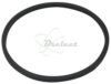 COURROIE CARREE Diam: 47.5 mm X 2.2 mm