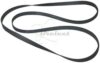 COURROIE PLATE Diam: 195 x 6 x 0.8MM