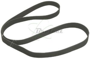 COURROIE PLATE Diam: 122 x 6 x 0.6 MM