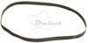 COURROIE PLATE Diam: 88 x 4 x 0.3MM