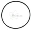 COURROIE CARREE Diam: 70.5 X 2.2MM