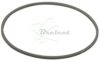 COURROIE CARREE Diam: 44.5MM x 1.2MM