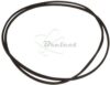 COURROIE CARREE Diam: 146MM x 1.3MM