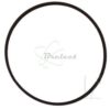 COURROIE CARREE Diam: 46.5 x 1.2MM