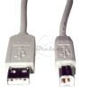 CORDON USB A/B 1M80 JVC