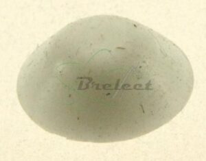 BOUTON POUSSOIR BLANC AEG