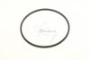 COURROIE CARREE Diam: 48.5 x 1.5 mm