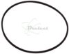 COURROIE CARREE Diam: 32.5MM x 0.75MM