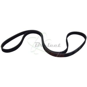 COURROIE CRANTEE 1321J5 Longueur: 1320MM