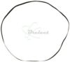 COURROIE PLATE Diam. 210 x 5.0 x 0.5MM