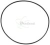 COURROIE CARREE Diam 78 x 1 MM