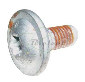 VIS DE POULIE - CHASSIS MALICE 25MM