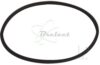 COURROIE CARREE Diam: 65.5MM x 2 MM