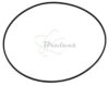 COURROIE CARREE Diam: 85 x 1.2 mm