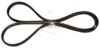 COURROIE POLY-V 1184J5 - L=1184MM