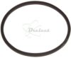 COURROIE CARREE Diam: 36.5MM x 1.5MM