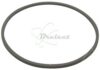 COURROIE CARREE Diam: 51.5 x 1.6 x 1.6MM